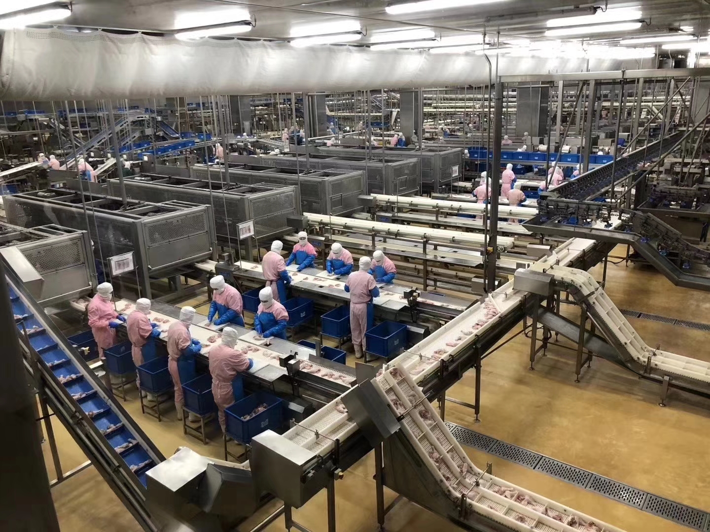 1763628824229047373.jpg 20251120-1.jpg